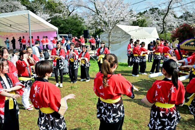 あつぎ飯山桜まつりの花音頭の写真