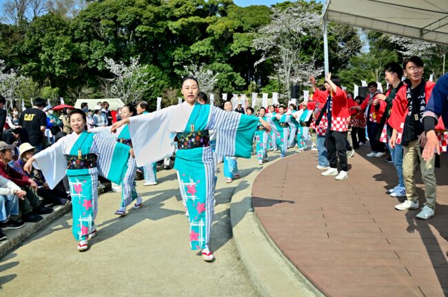 あつぎ飯山桜まつりの花音頭の写真