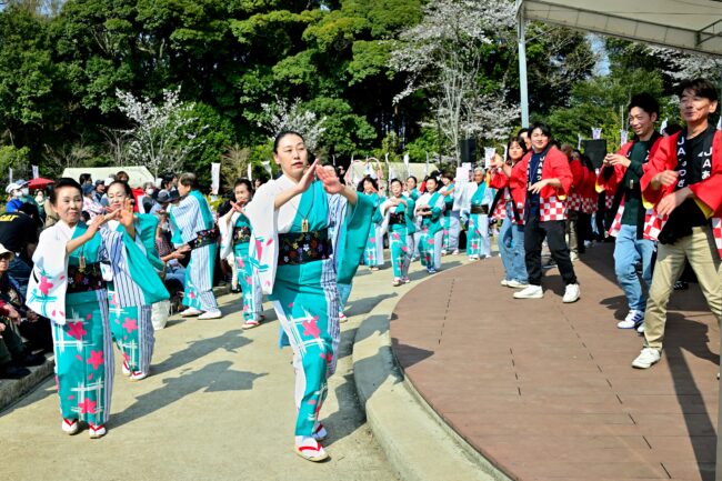 あつぎ飯山桜まつりの花音頭の写真
