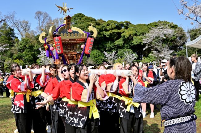 あつぎ飯山桜まつりのさくら輿の写真