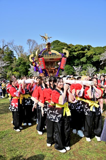 あつぎ飯山桜まつりのさくら輿の写真