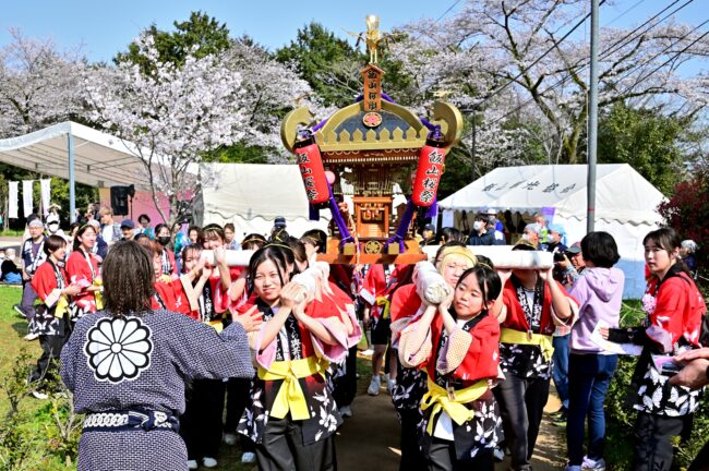 あつぎ飯山桜まつりのさくら輿の写真