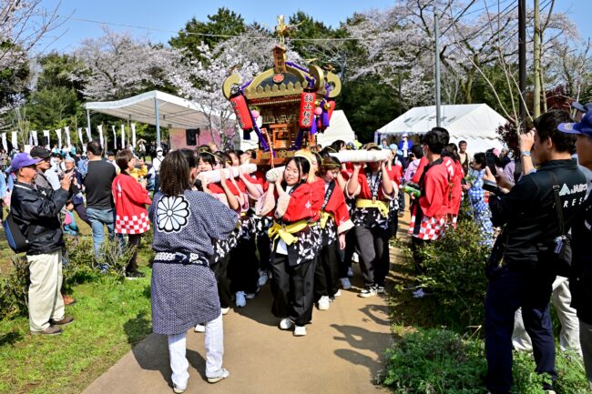 あつぎ飯山桜まつりのさくら輿の写真