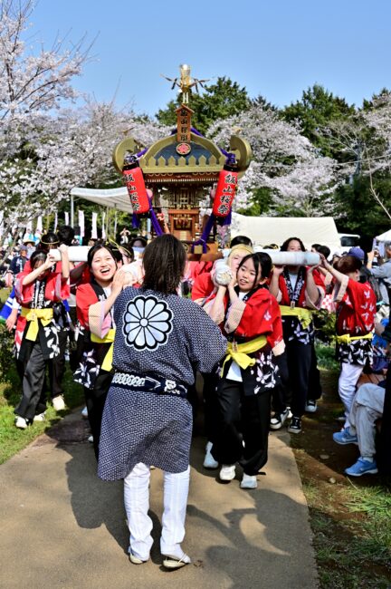 あつぎ飯山桜まつりのさくら輿の写真