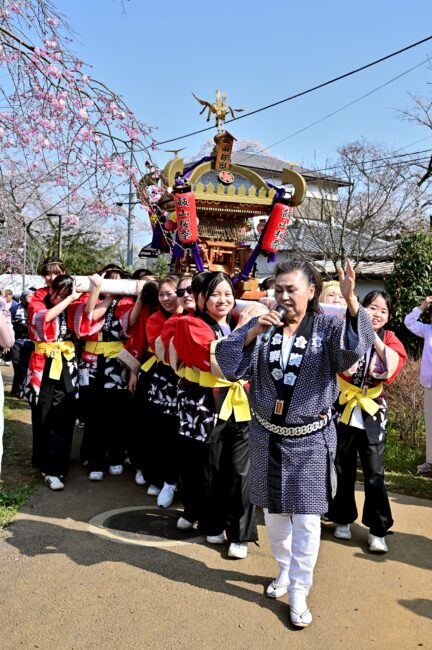 あつぎ飯山桜まつりのさくら輿の写真