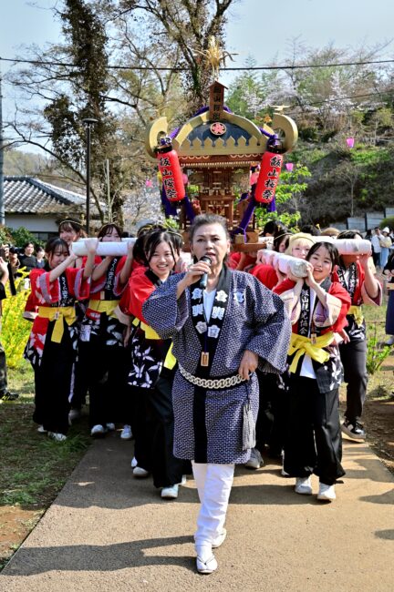 あつぎ飯山桜まつりのさくら輿の写真