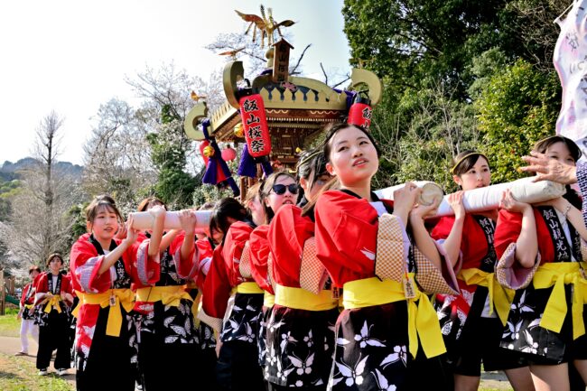 あつぎ飯山桜まつりのさくら輿の写真