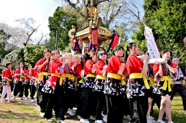 あつぎ飯山桜まつりのさくら輿の写真