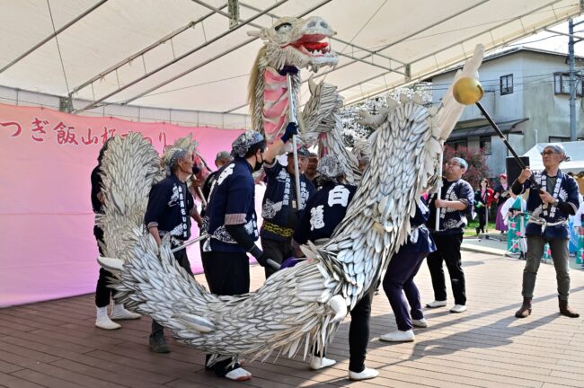 あつぎ飯山桜まつりの白龍の舞の写真