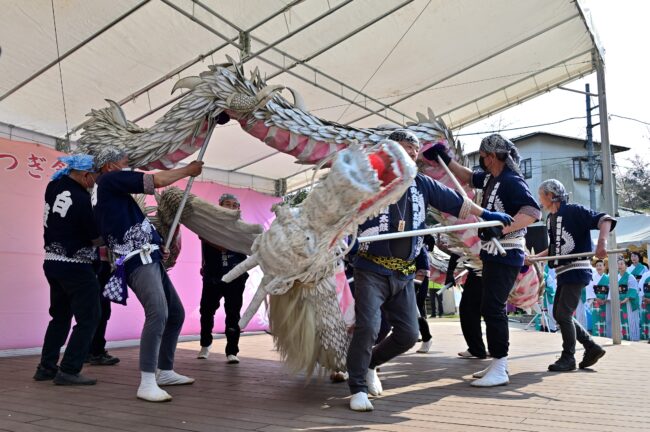 あつぎ飯山桜まつりの白龍の舞の写真
