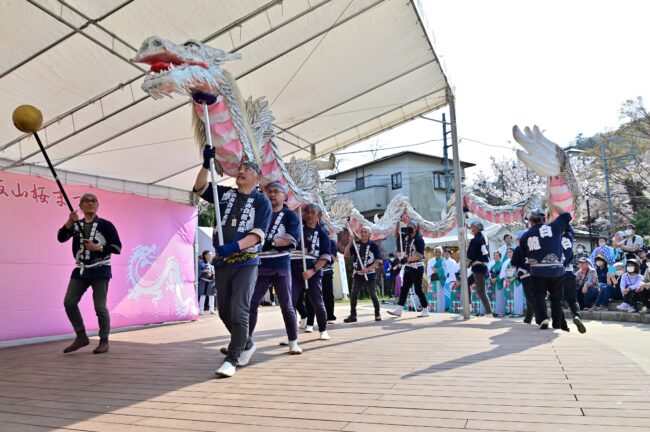 あつぎ飯山桜まつりの白龍の舞の写真