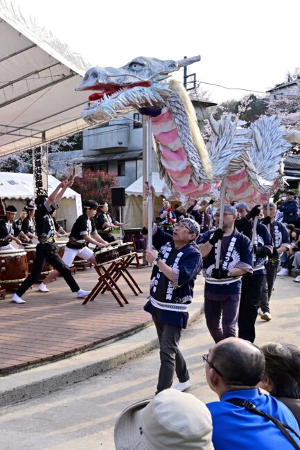 あつぎ飯山桜まつりの白龍の舞の写真
