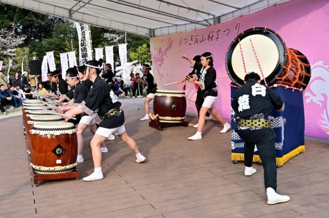 あつぎ飯山桜まつりの飯山白龍太鼓の写真