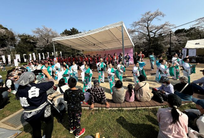 あつぎ飯山桜まつりの花音頭の写真