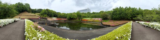 あつぎつつじの丘公園のツツジの写真