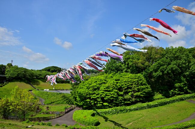 若宮公園のこいのぼりの写真