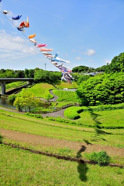 若宮公園のこいのぼりの写真