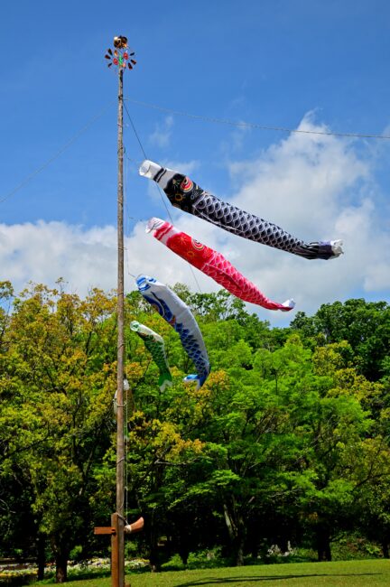 若宮公園のこいのぼりの写真