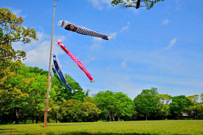 若宮公園のこいのぼりの写真
