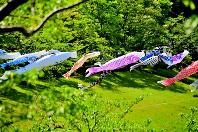 若宮公園のこいのぼりの写真