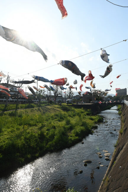 恩曽川地蔵橋親水広場のこいのぼり
