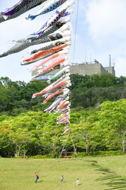 若宮公園のこいのぼり