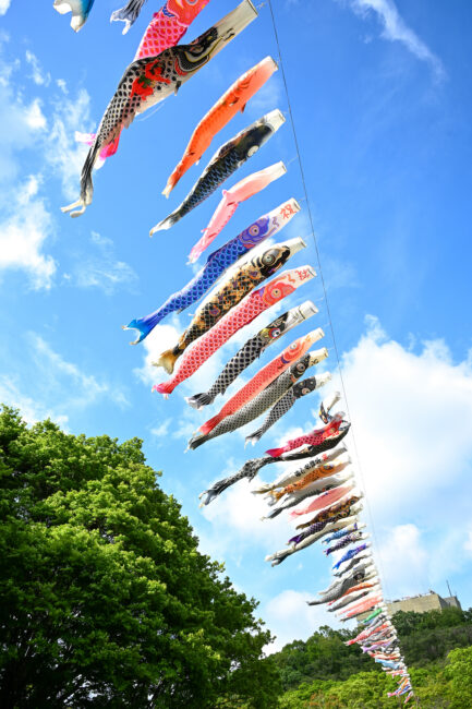 若宮公園のこいのぼり