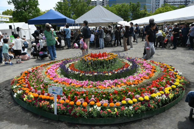 中央公園の緑のまつり