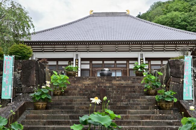 常昌院のハスの花の写真