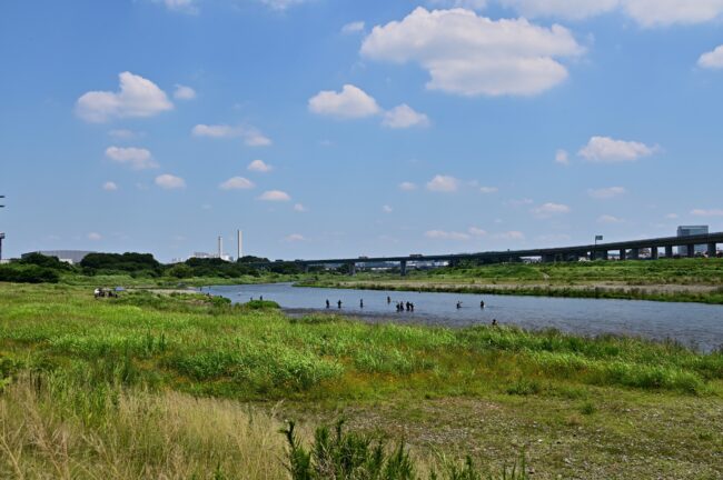 相模川三川合流点の写真