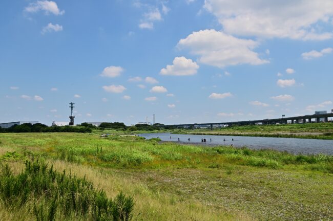 相模川三川合流点の写真
