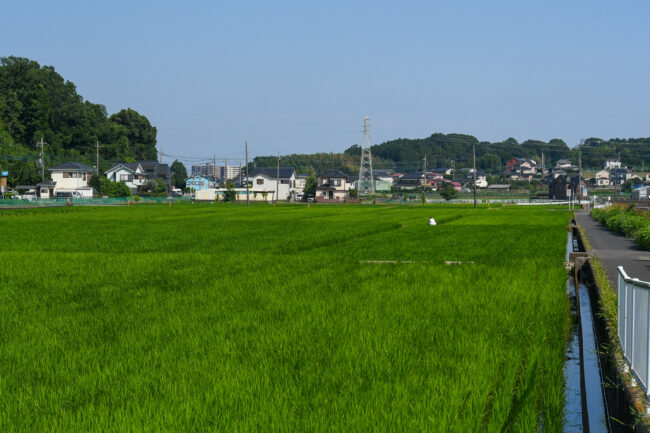 恩曽川の風景