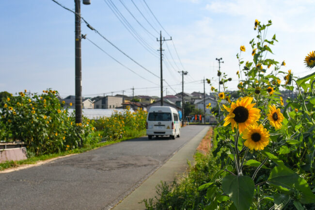 恩曽川の風景