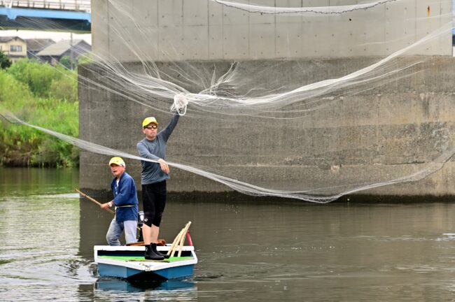 相模川の投網漁の写真