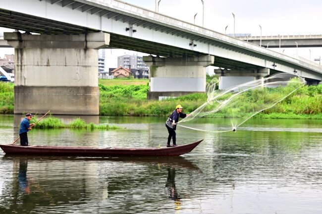 相模川の投網漁の写真