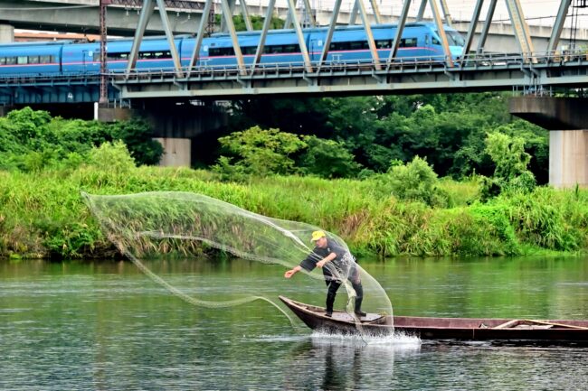 相模川の投網漁の写真