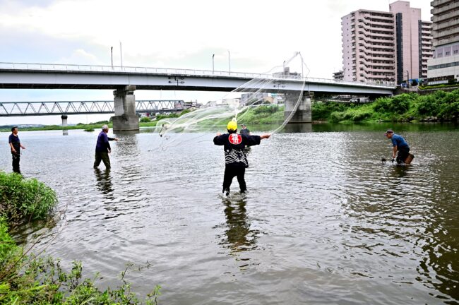 相模川の鵜縄漁の写真