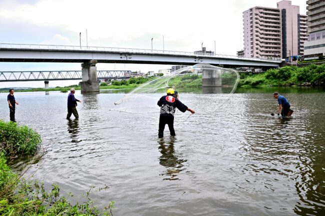 相模川の鵜縄漁の写真