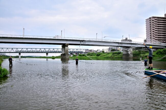 相模川の鵜縄漁の写真