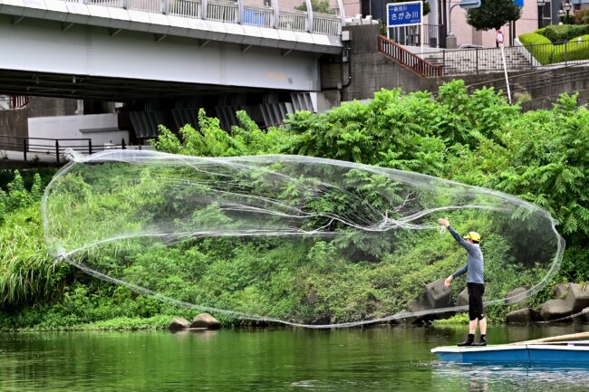 相模川の投網漁の写真