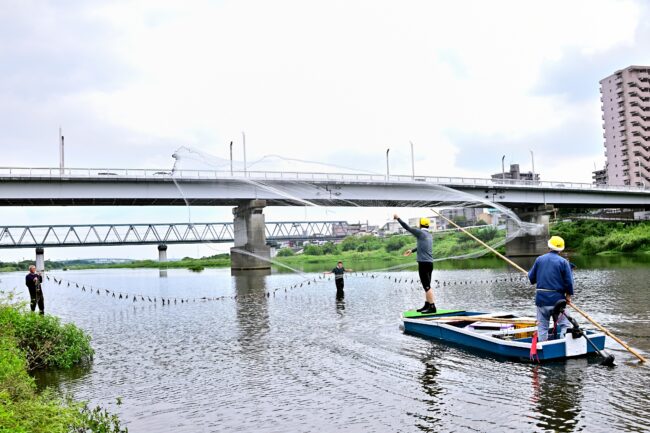 相模川の投網漁の写真