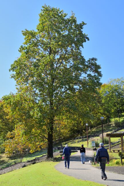 荻野運動公園の写真